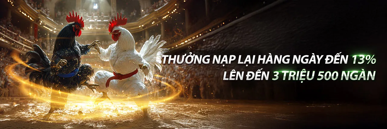 Đá gà trực tuyến 8ok Nhà Cái